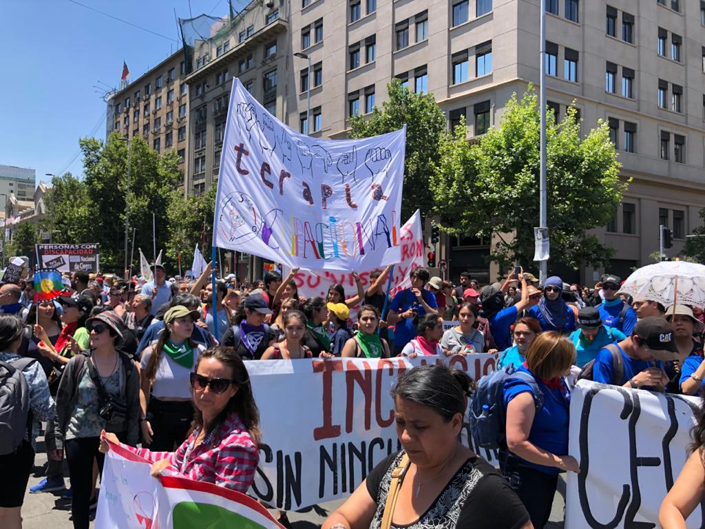 foto que muestra a muchas personas marchando el día 3 de diciembre, día de la discapacidad. Al fondo el letrero de la carrera Terapia Ocupacional USACH, con los dibujos relacionados al alfabeto de señas chilena